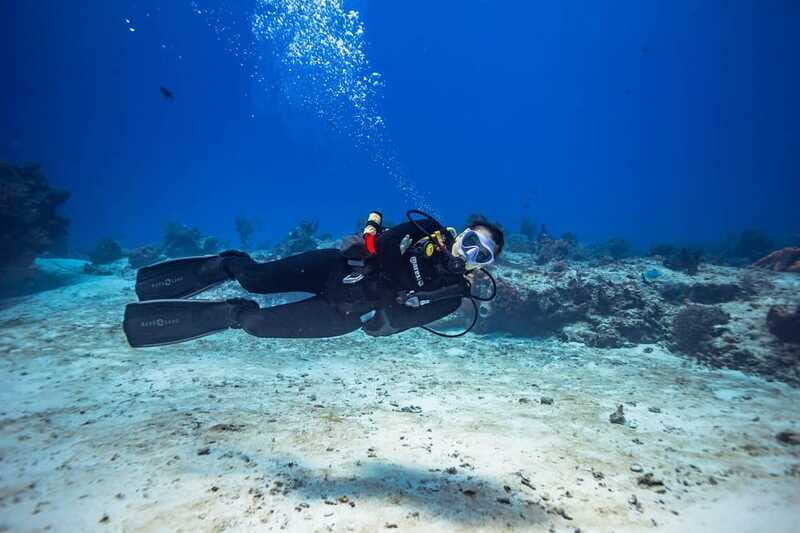 Cancun: Diving the Underwater Art Museum with 2-Tank Dive - Final Thoughts  
