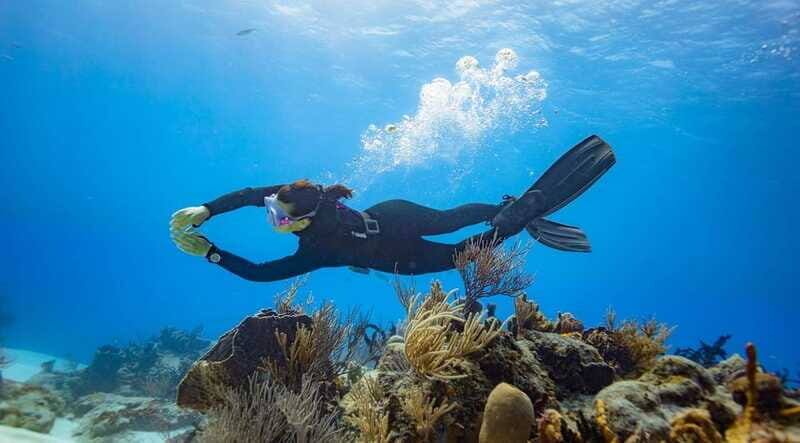 Cancun: Diving the Underwater Art Museum with 2-Tank Dive - FAQ