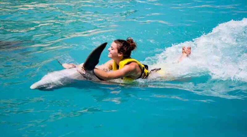 Cancún - Dolphin Cat & Swim Adventure - An Overview of the Tour Experience