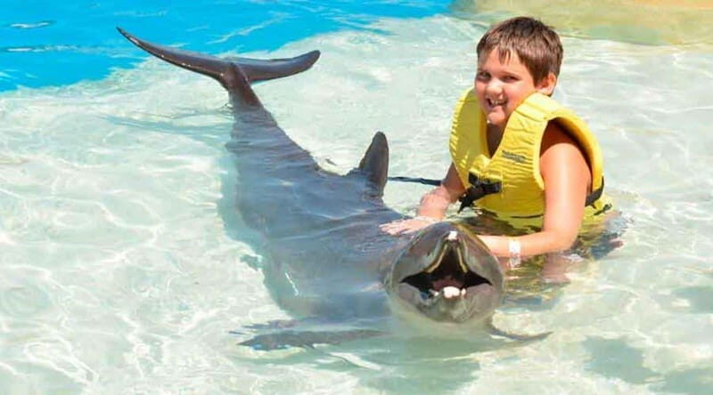 Cancún - Dolphin Cat & Swim Adventure - Breaking Down the Itinerary