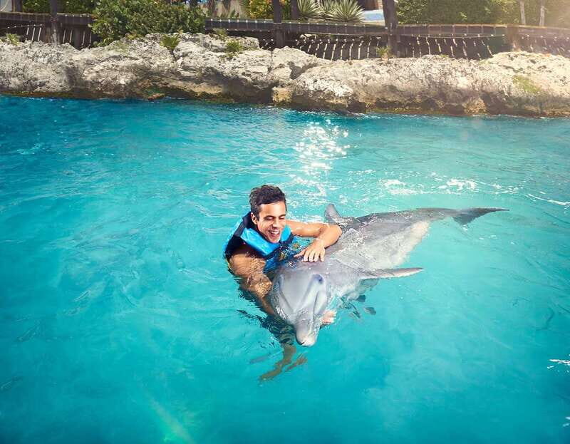 Cancún: Dolphin Encounter on Isla Mujeres with Buffet - An In-Depth Look at the Dolphin Encounter on Isla Mujeres