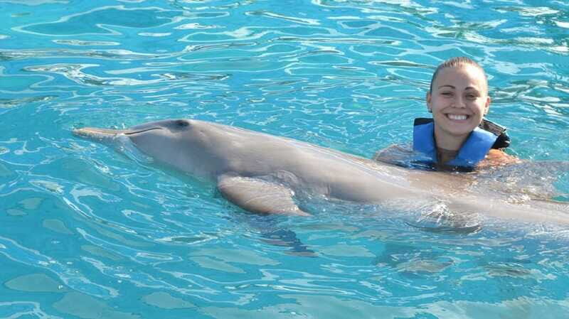 Cancún: Dolphin Encounter on Isla Mujeres with Buffet - Who Should Consider This Tour?