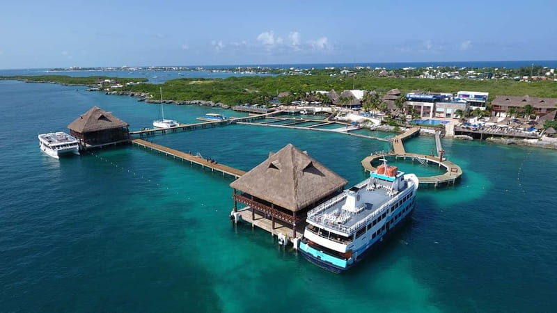 Cancún: Dolphin Encounter on Isla Mujeres with Buffet - Final Thoughts: Value, Fun, and Authenticity