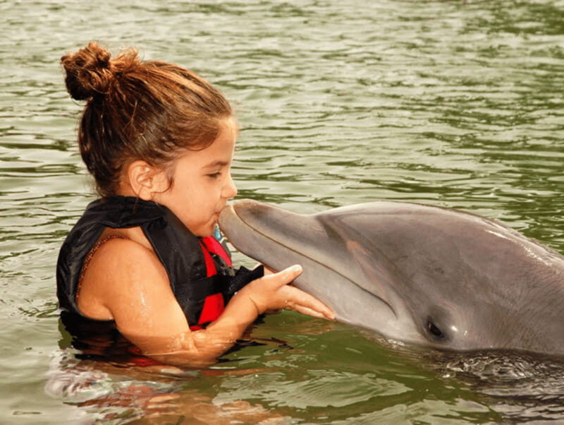Cancun: Dolphin Encounter - An Honest Look at the Cancun Dolphin Encounter