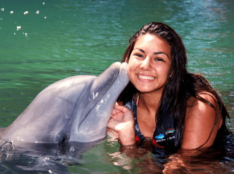 Cancun: Dolphin Encounter - Key Points