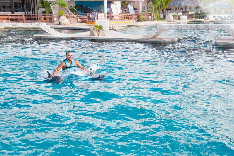 CANCUN: Dolphin Royal Swim with buffet and soft drinks - Key Points