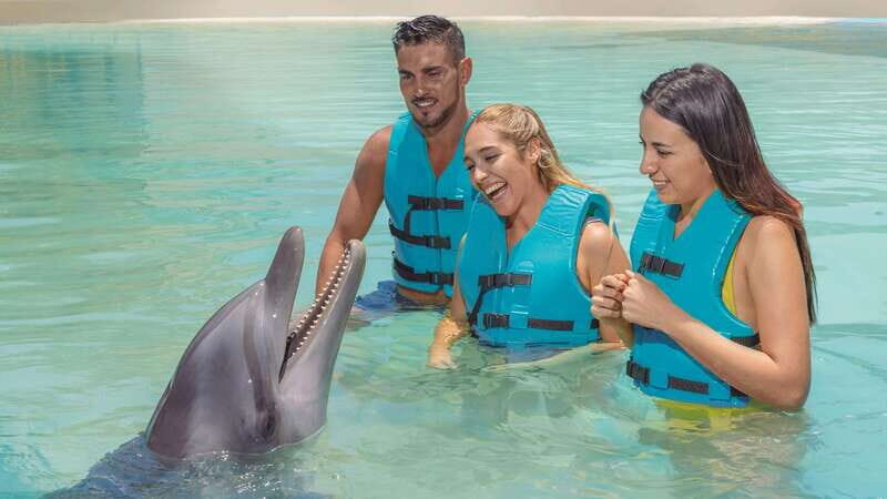 CANCUN: Dolphin Swim Adventure with buffet and soft drinks - Who This Tour Is Best For  
