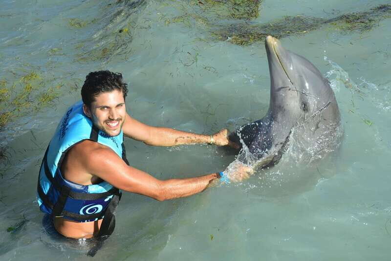 Cancun: Dolphin Swim and Garrafon Reef Park Tour with Buffet - A Detailed Look at the Tour