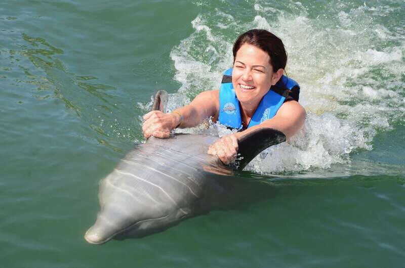 Cancún: Dolphin Swimming Program on Isla Mujeres with Buffet - Cancún: Dolphin Swimming Program on Isla Mujeres with Buffet