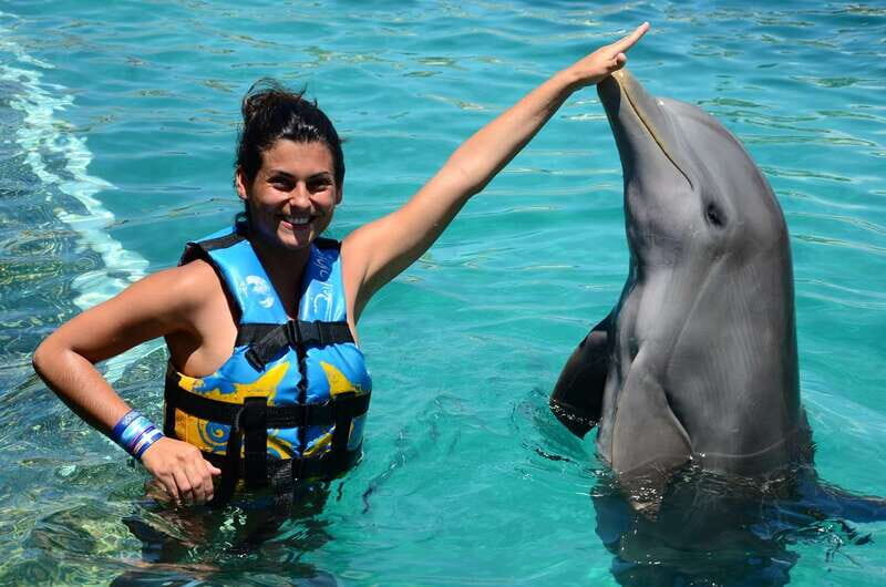 Cancún: Dolphin Swimming Program on Isla Mujeres with Buffet - Key Points