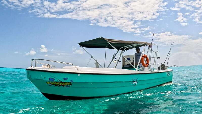 Cancun: Family Snorkeling Tour. Swim Among Tropical Fishes - Key Points