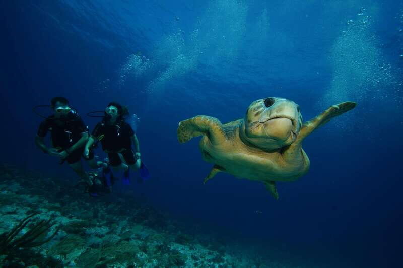 CANCUN: FIRST TIME DIVERS CANCUN - Key Points