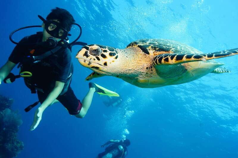 CANCUN: FIRST TIME DIVERS CANCUN - Final Thoughts: Is This Experience Worth It?