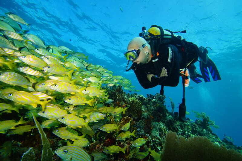 CANCUN: FIRST TIME DIVERS CANCUN - FAQs