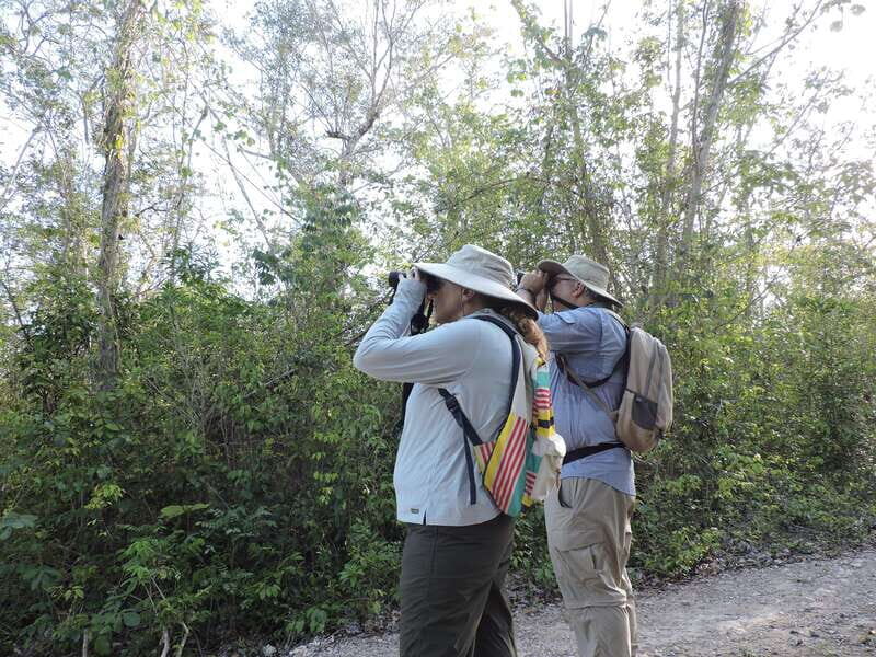 Cancún: Guided Birdwatching Hike - Exploring the Experience
