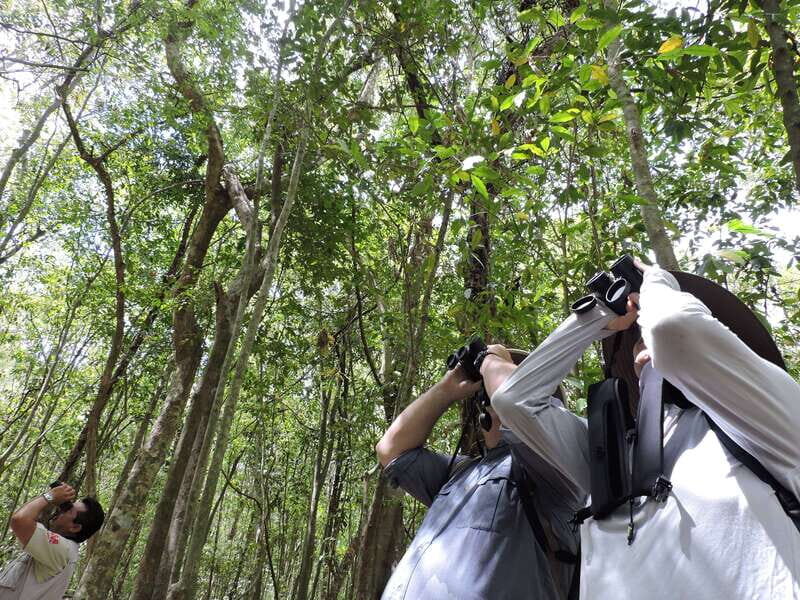 Cancún: Guided Birdwatching Hike - The Value of This Tour