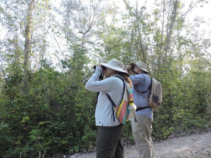 Cancún: Guided Birdwatching Hike - FAQs About the Guided Birdwatching Hike
