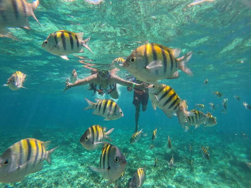 Cancun: Half Day Private Catamaran with Snorkeling. 25 guest - The Sum Up  