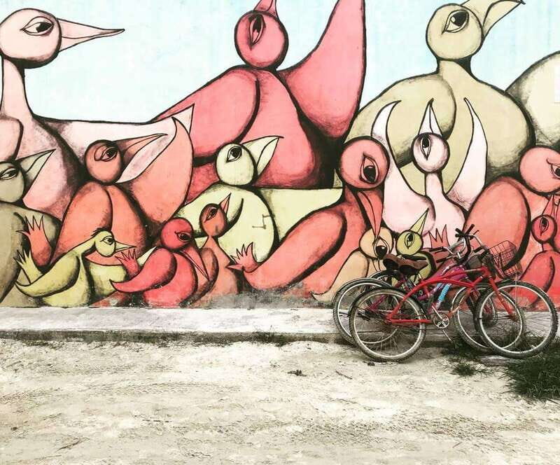 Cancun: Holbox Ferry + Punta Mosquito - FAQ  