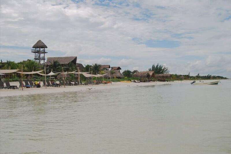 Cancun: Holbox Island Birdwatching and Wildlife Adventure - Final Thoughts: Is This Tour for You?
