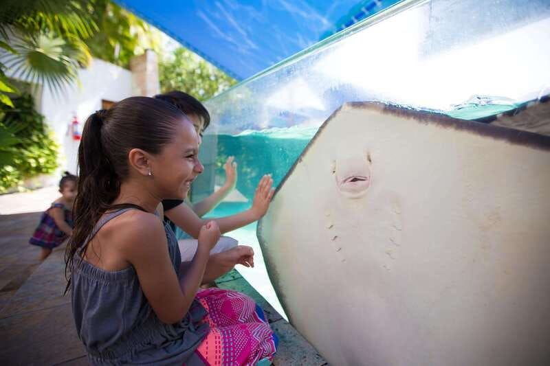 cancun-interactive-aquarium-admission-dolphin-presentation