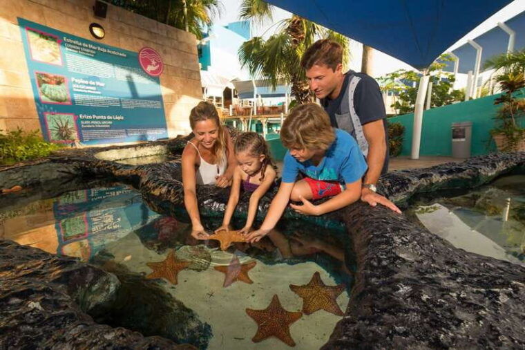 cancun-interactive-aquarium-admission