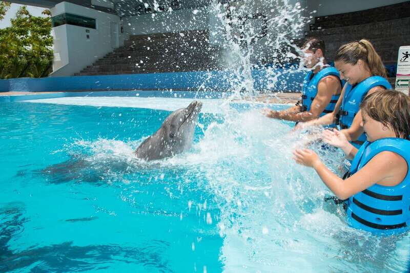 Cancun: Interactive Aquarium - Swim with dolphins Premium - A Closer Look at the Tour Experience