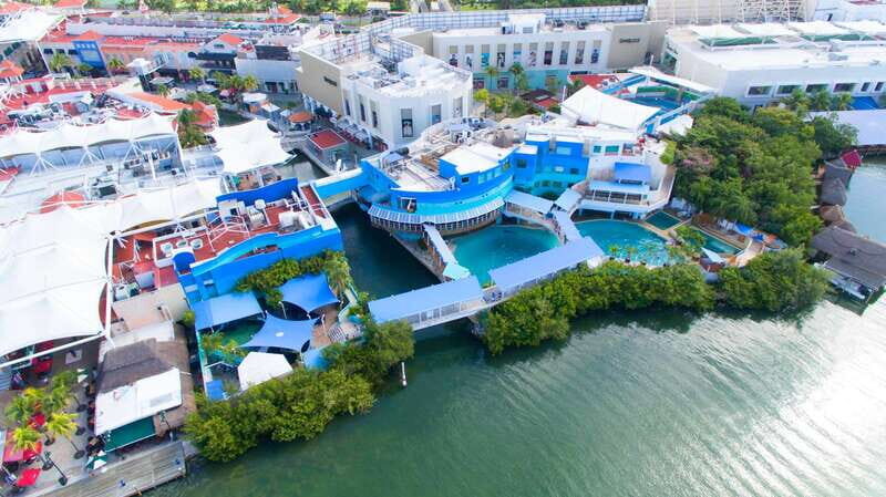 Cancun: Interactive Aquarium - Swim with Dolphins Splash - Key Points