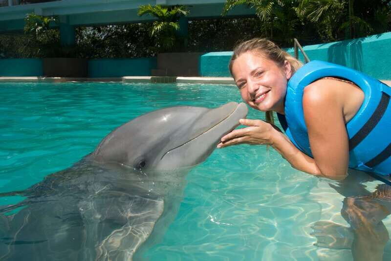 Cancun: Interactive Aquarium - Swim with Dolphins Splash - What to Expect from the Dolphin Encounter