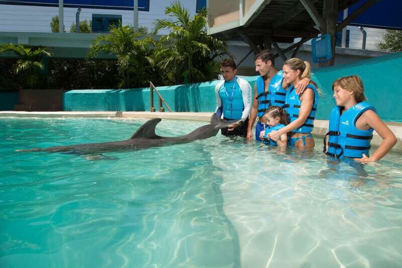 Cancun: Interactive Aquarium Ticket and Swim with Dolphins - Key Points