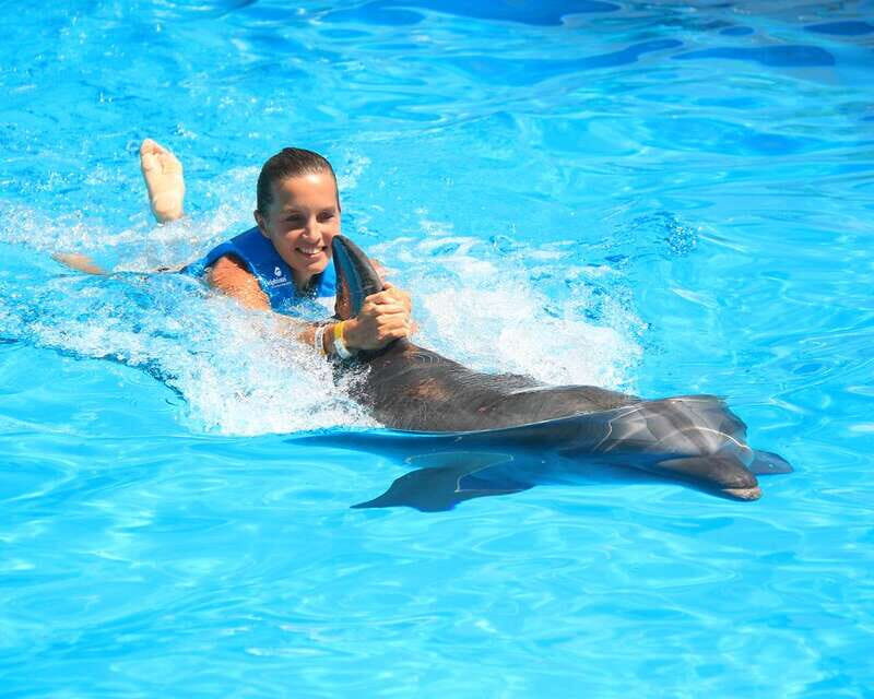 Cancun: Interactive Aquarium Ticket and Swim with Dolphins - FAQs
