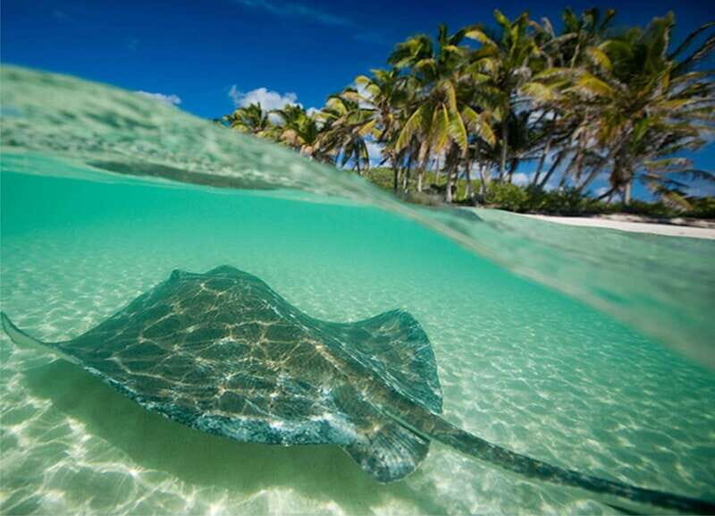 Cancun: Isla Contoy and Isla Mujeres Combo Tour - Cost & Value Analysis