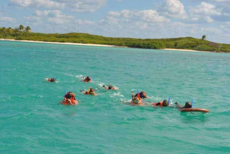 Cancun: Isla Contoy & Shopping Tour in Isla Mujeres - Who Is This Tour Best For?