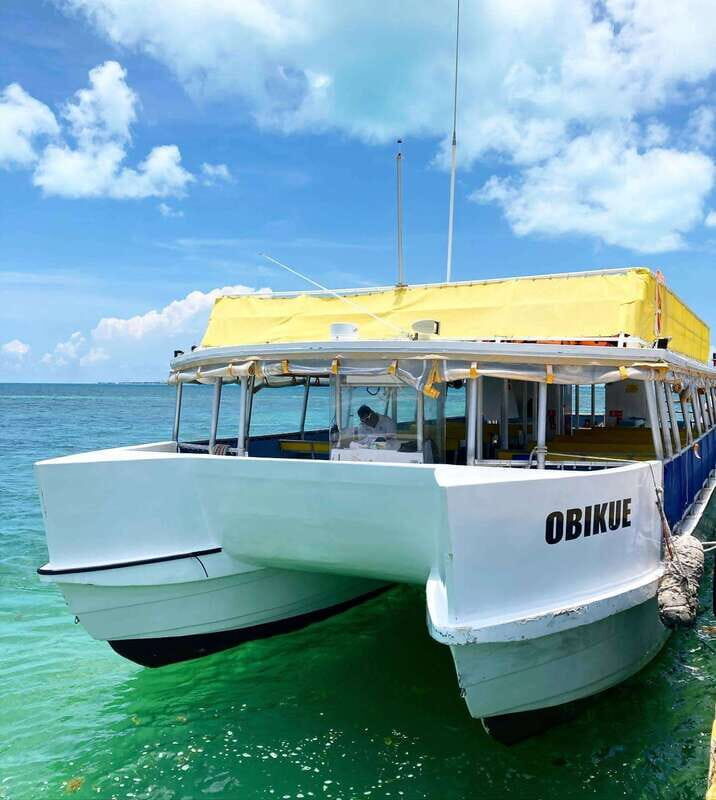 Cancun: Isla Contoy & Shopping Tour in Isla Mujeres - The Sum Up