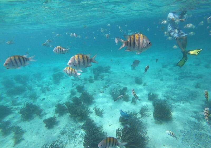 cancun-isla-mujeres-catamaran-cruise-with-snorkel-and-lunch