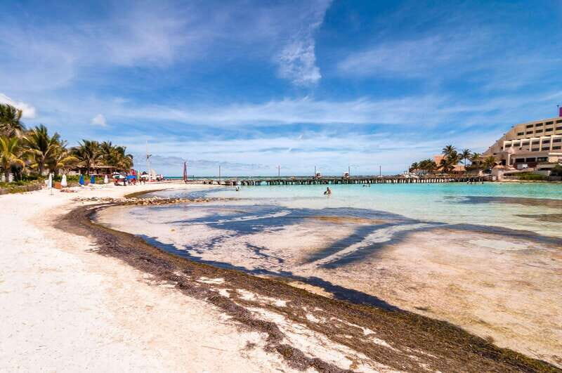 Cancun: Isla Mujeres Premium Catamaran Half-Day Tour - Practical Details and What to Expect
