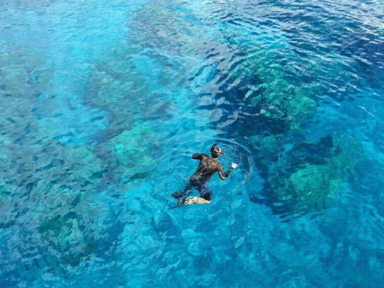 cancun-jungle-expedition-with-speedboat-ride-and-snorkel