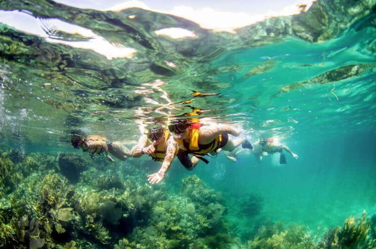 cancun-jungle-tour-adventure-with-speedboat-and-snorkeling-2