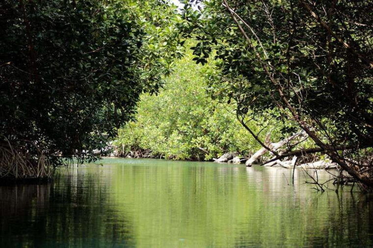 cancun-jungle-tour-adventure-with-speedboat-and-snorkeling-3