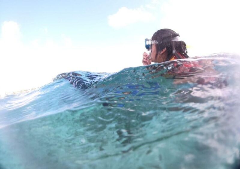 cancun-jungle-tour-speedboat-and-snorkel-tour