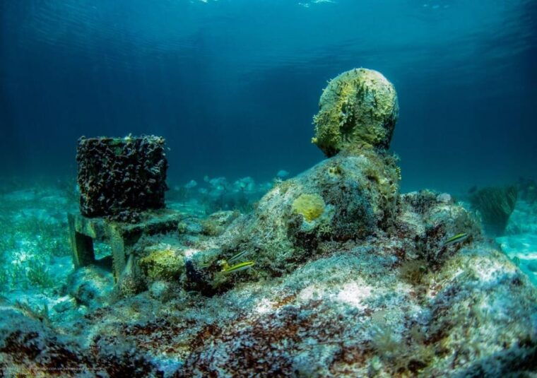 cancun-jungle-tour-speedboat-and-snorkel-tour