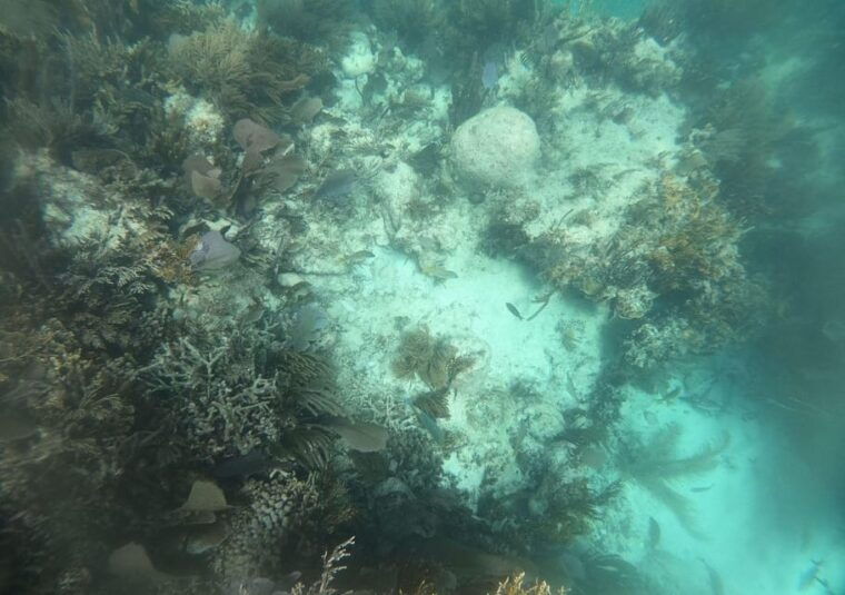 cancun-jungle-tour-speedboat-and-snorkel-tour