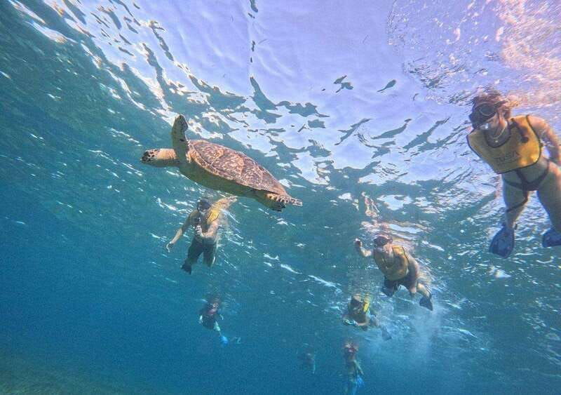 cancun-laguna-nichupte-speedboat-snorkeling-tour