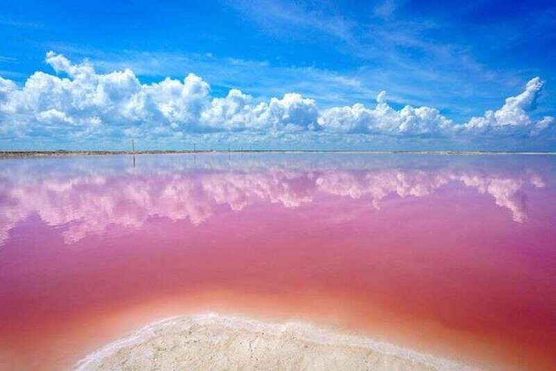 Cancun: Las Coloradas and Río Lagartos Private Tour - What You Can Expect from the Tour