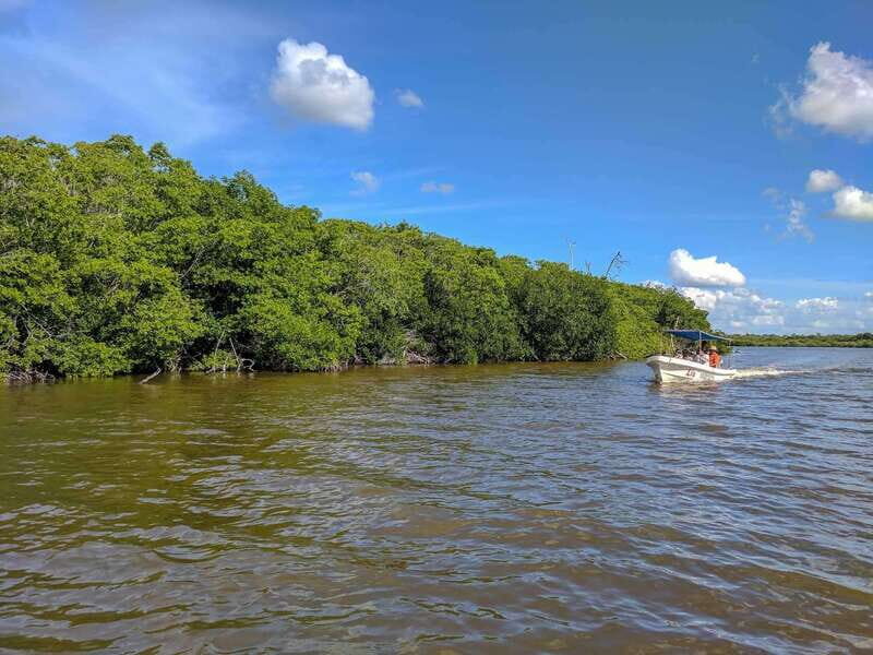 Cancún: Las Coloradas & Rio Lagartos Tour - Final Thoughts: Is It Worth It?