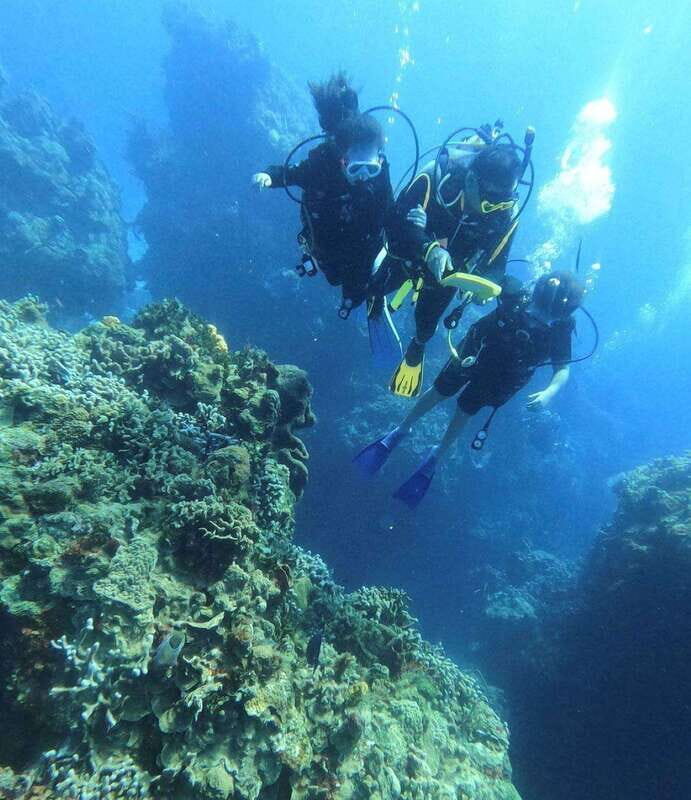 Cancun: Lionfish Expedition Package - Frequently Asked Questions