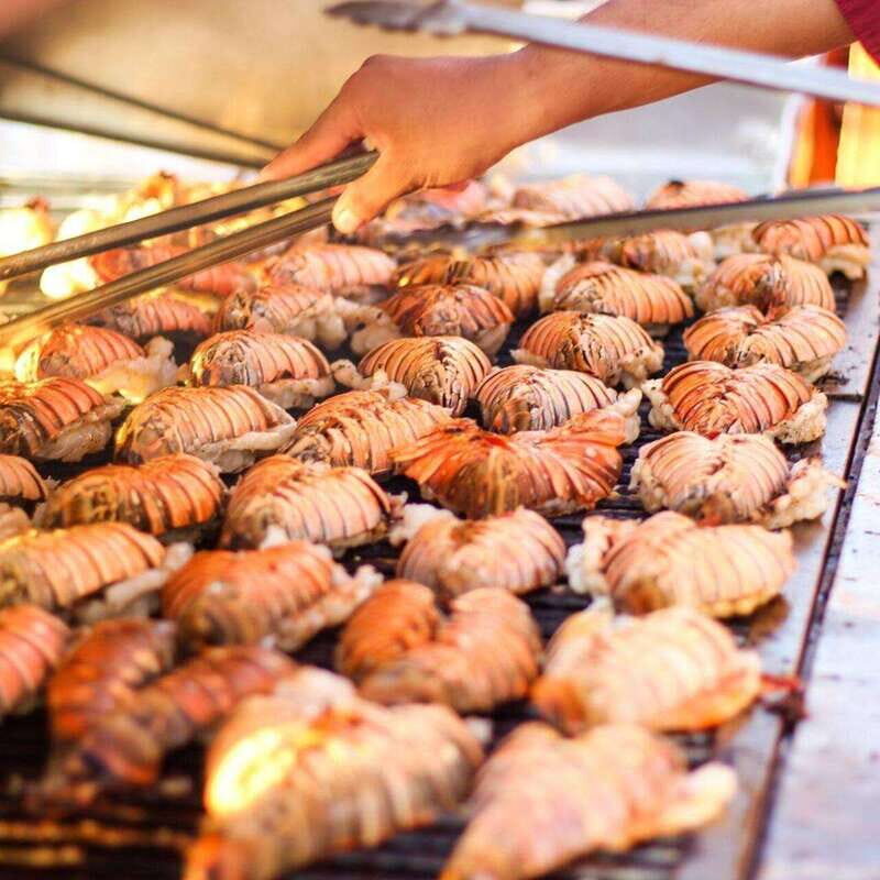 Cancun: Lobster Dinner Spanish Galleon Cruise - Final Thoughts