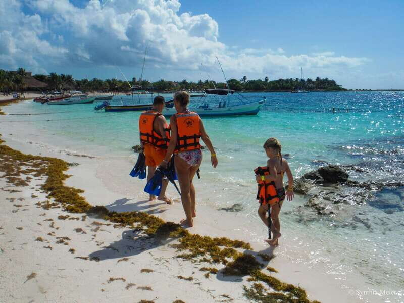Cancun: Marine Turtle Observation in Akumal - Final Thoughts