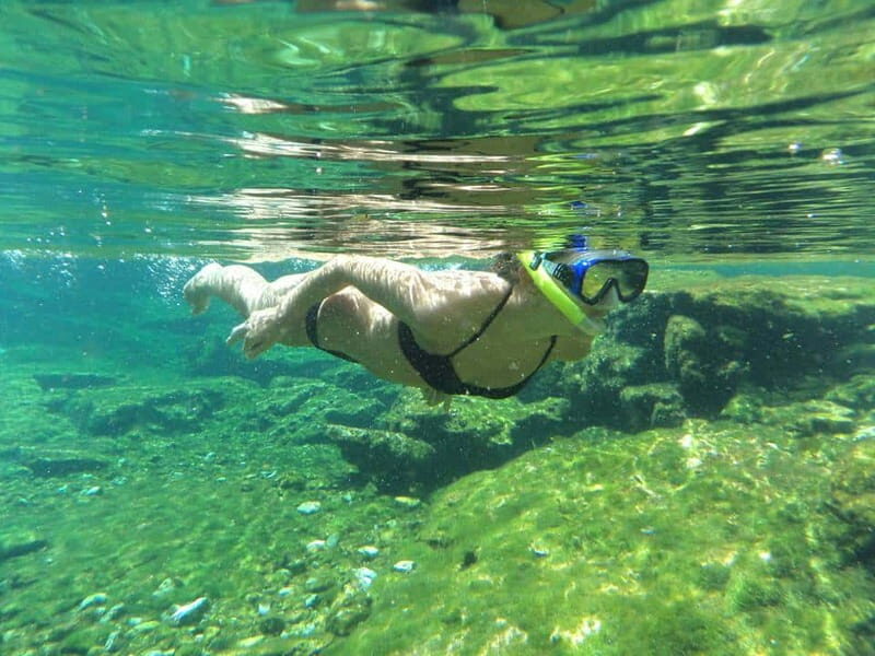 Cancun: Marine Turtle Observation in Akumal - FAQ