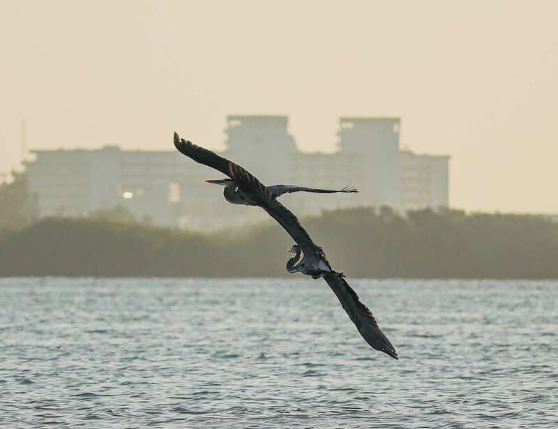 cancun-morning-kayak-adventure